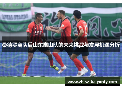 桑德罗离队后山东泰山队的未来挑战与发展机遇分析