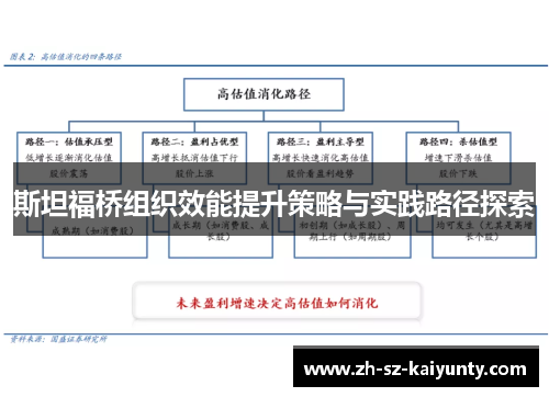 斯坦福桥组织效能提升策略与实践路径探索