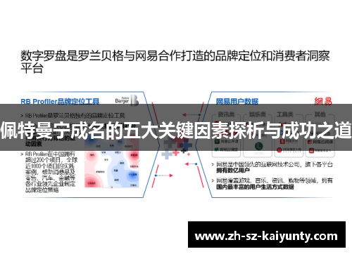 佩特曼宁成名的五大关键因素探析与成功之道