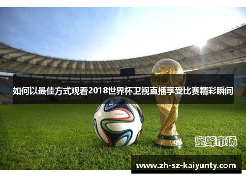 如何以最佳方式观看2018世界杯卫视直播享受比赛精彩瞬间
