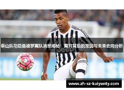 泰山队功臣桑德罗离队消息揭秘：离开背后的原因与未来去向分析