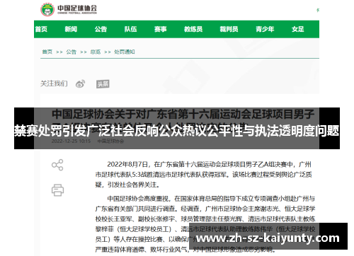 禁赛处罚引发广泛社会反响公众热议公平性与执法透明度问题
