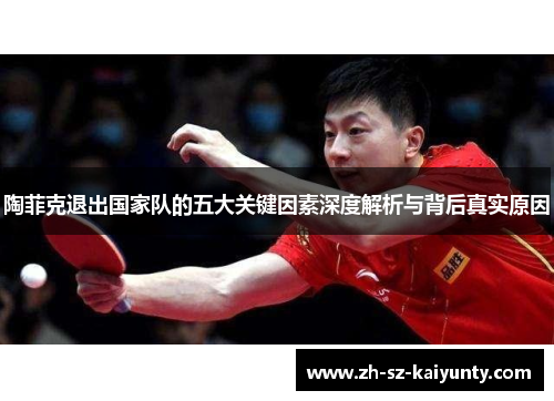 陶菲克退出国家队的五大关键因素深度解析与背后真实原因